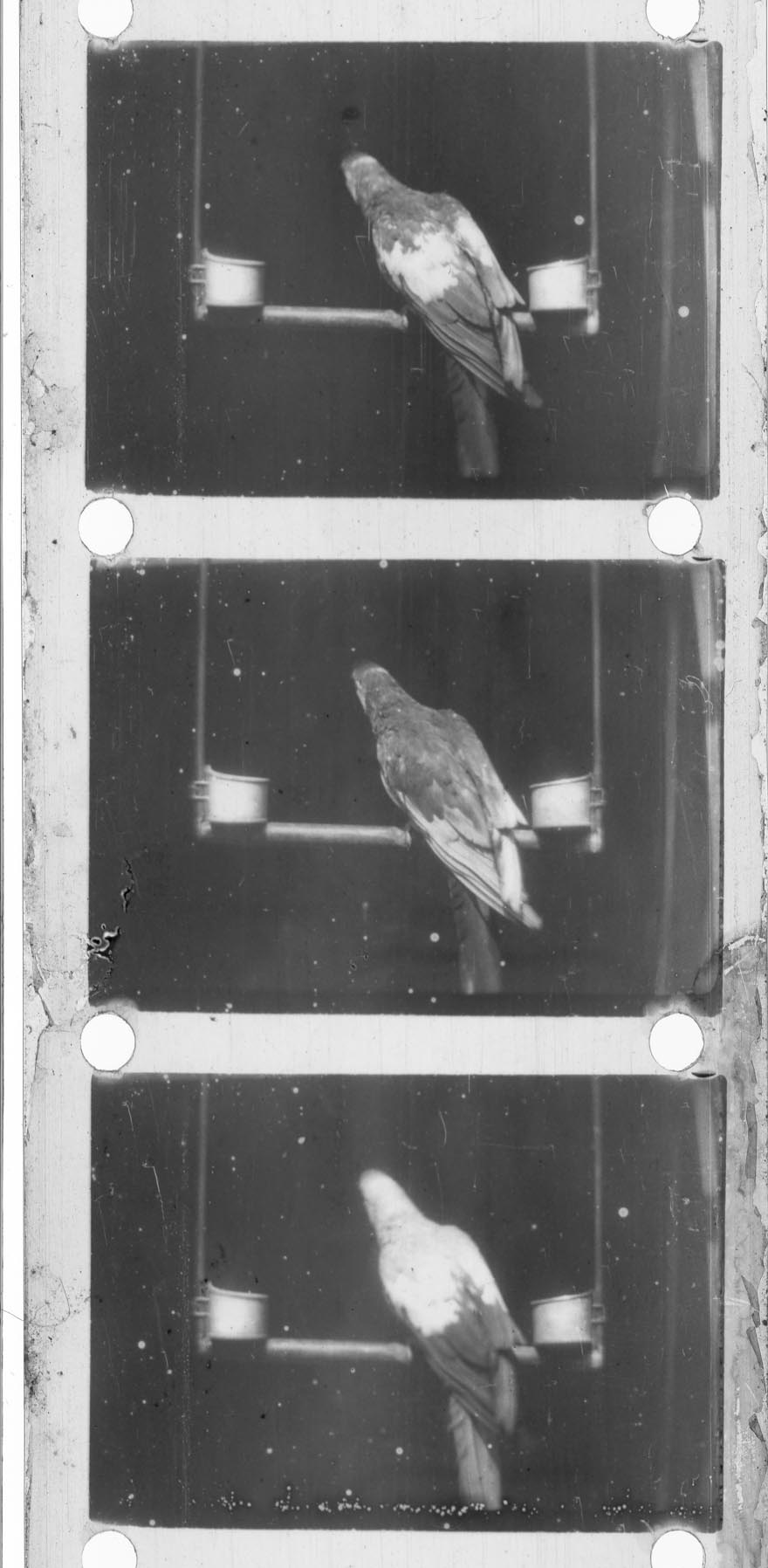 Test Print from first primting