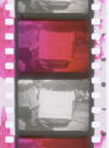 Image6 Small_small Two Colour Negative