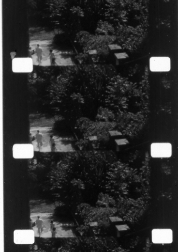 16mm Double Perforated black and white reversal film