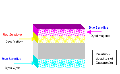 Gasparcolor Sensitivities