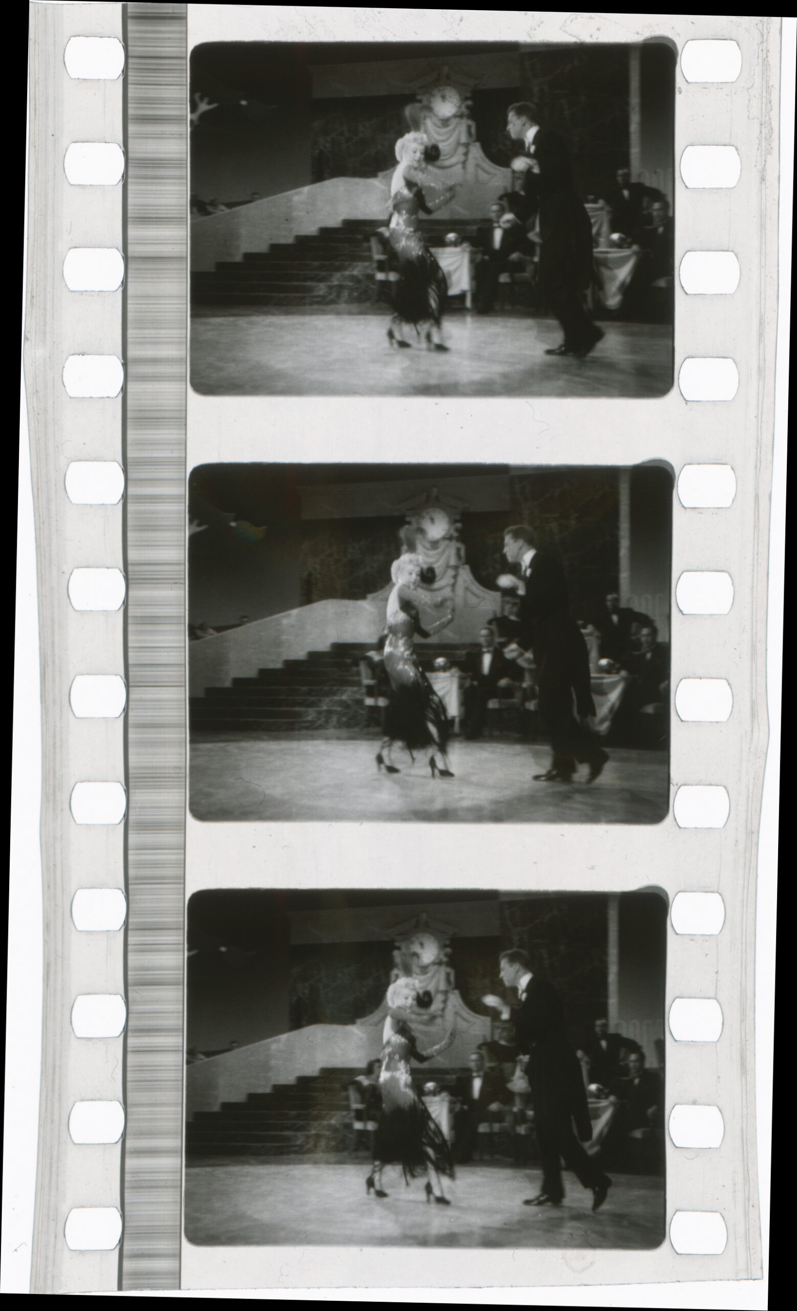 Fox Lenticular Colour Fox Lenticular colour